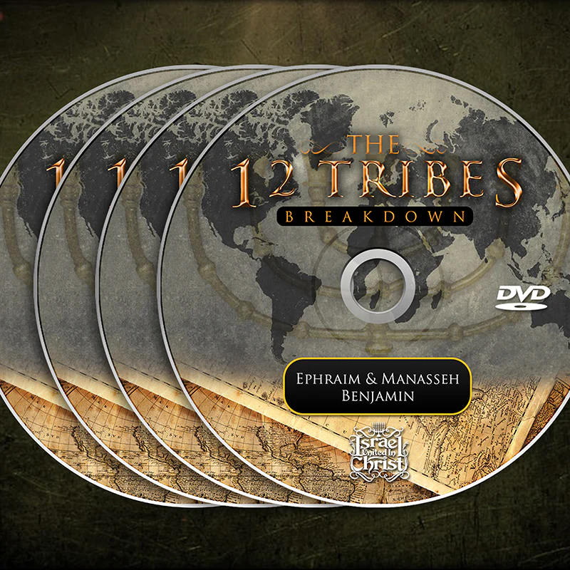 12 TRIBES BREAKDOWN - Image 2