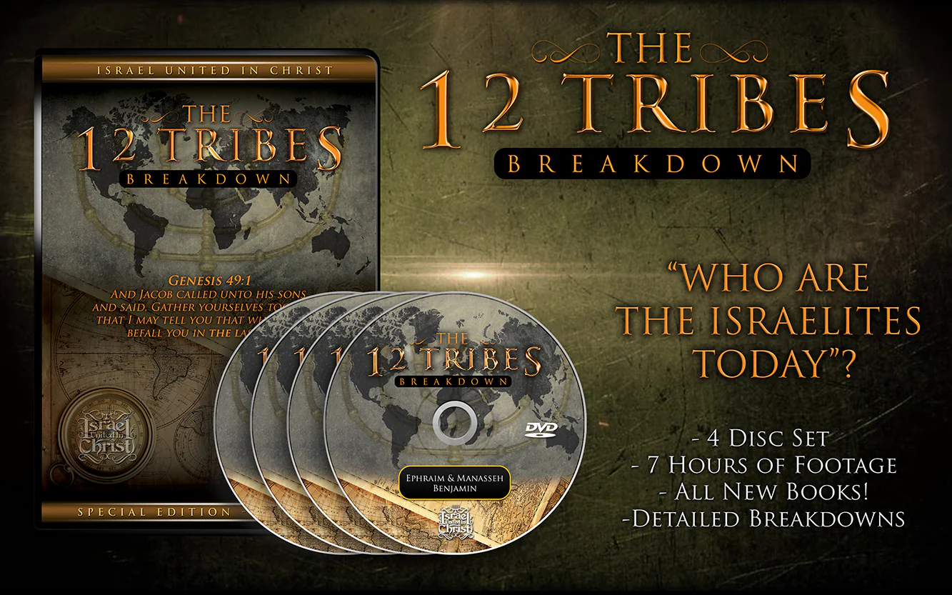 12 TRIBES BREAKDOWN - Image 3