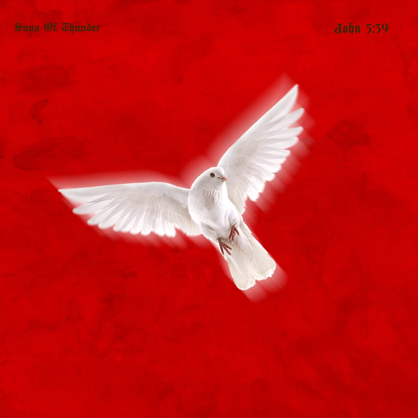 SONS OF THUNDER - JOHN 5:39 (MP3)