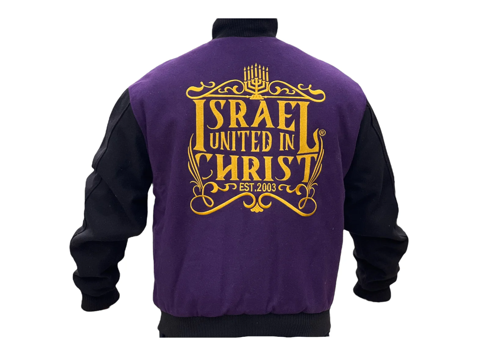 WOOL SLEEVE IUIC CREST VARSITY JACKET - Image 3